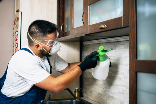 Best Wildlife Control Services  in Quincy, CA