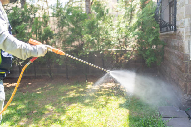Best Flea Control Services  in Quincy, CA