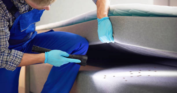 Best Pest Inspection Near Me  in Quincy, CA