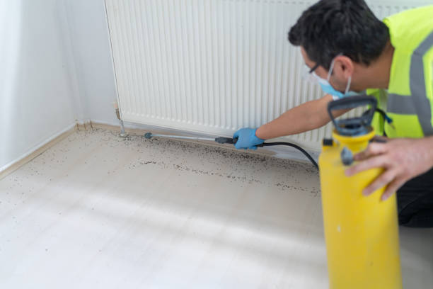 Best Cockroach Control Services  in Quincy, CA